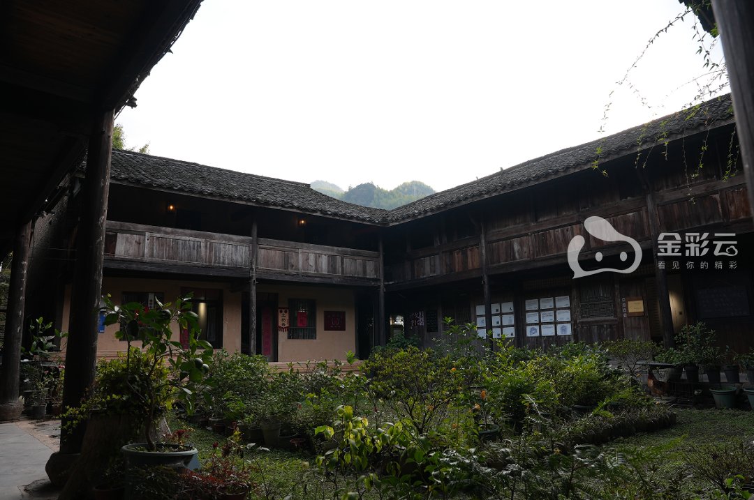 榉溪村发展活力